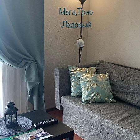 Gray Apartment Pobedy 21 维捷布斯克 外观 照片